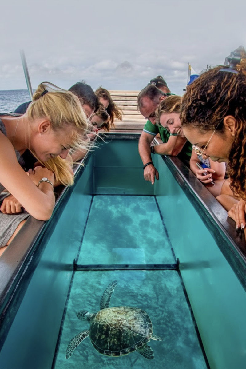 Glass Bottom Boat Rides
